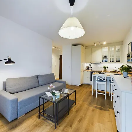 Elegancki Apartament Blisko Rzeki W Krakowie Z Biurkiem Do Pracy Zdalnej By Renters Apartment *