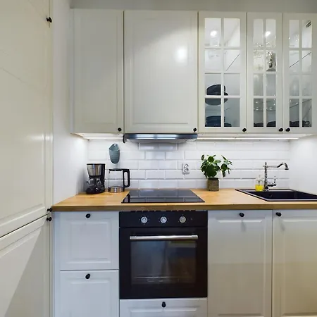 Elegancki Apartament Blisko Rzeki W Krakowie Z Biurkiem Do Pracy Zdalnej By Renters *